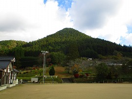 IMG_5339