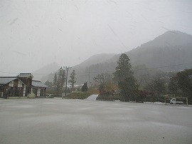 IMG_5359