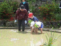 IMG_3881