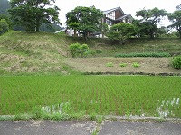 IMG_9609