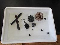 IMG_9820