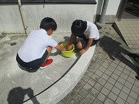 IMG_0537