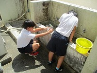 IMG_0540