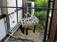 IMG_0563