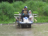 IMG_4569