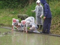 IMG_4593