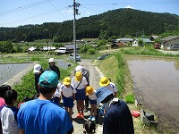 IMG_4951