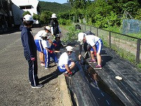 IMG_5187