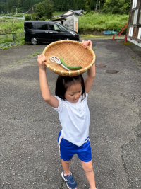 ３年_国語_岩名里花_夏のくらし