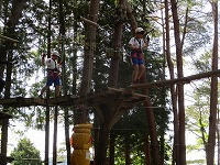 IMG_8910