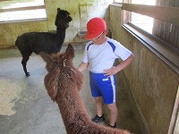 IMG_9022