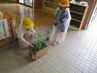 IMG_9047
