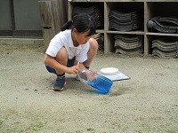 IMG_9193