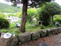 IMG_9250