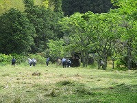 IMG_9259
