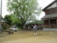 IMG_9261