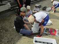 IMG_9402
