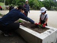 IMG_9556