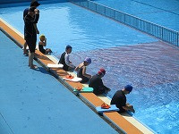 IMG_0337
