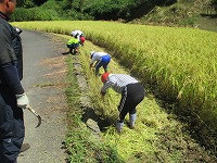 IMG_0870