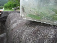 IMG_1070
