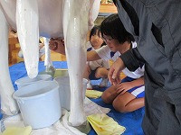 IMG_1270