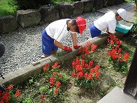 IMG_1440
