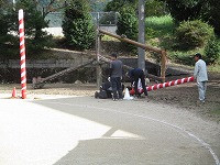 IMG_1550