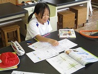 IMG_7186