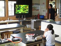 IMG_7686