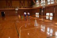 DSC_9931